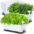 Window Box Planter 8 Pcs, 17 Inches Rectangle Flower Pots with Drainage Holes & Trays, Vegetable Planters for Windowsill Patio Garden Balcony Home Indoor Outdoor (White, 16 * 7 * 6 inch)