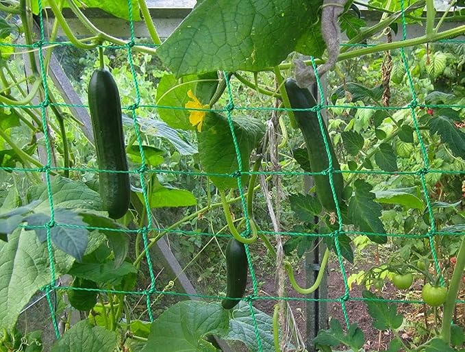 Trellis Netting for Climbing Plants - Heavy Duty Garden Trellis Netting for Cucumber, Vine, Fruits & Vegetables Tomato Plants Trellis Net, Climbing Vining Plants (2-Pack 16.4' x 6.6'Ft)