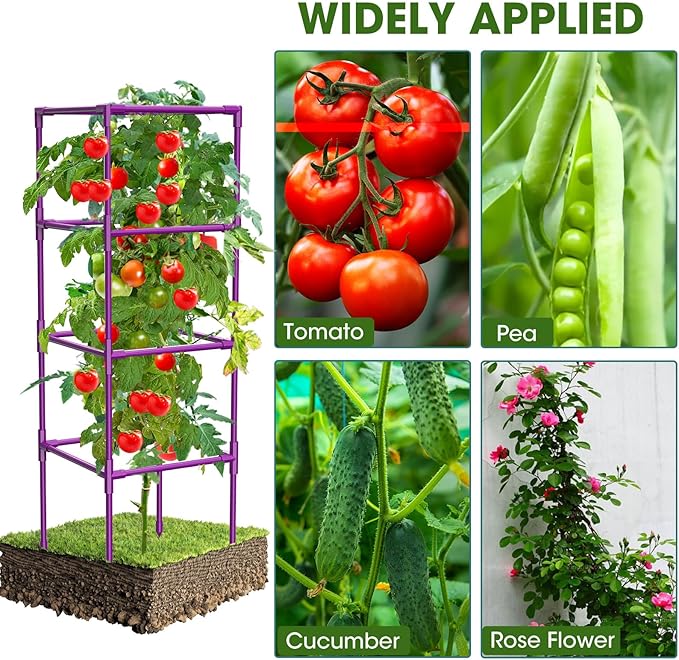 3 Pack Tomato Cages, Square Tomato Plant Stakes Support Cages Trellis for Garden Climbing Vegetables Flowers Fruits,Extra Bold,Purple