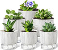6 Pack Self Watering Pots for Indoor Plants, Flower Planters with Wick Rope & Reservoir, 4" + 5.5" Plastic Pots for African Violet, Orchid, Succulent, Herbs