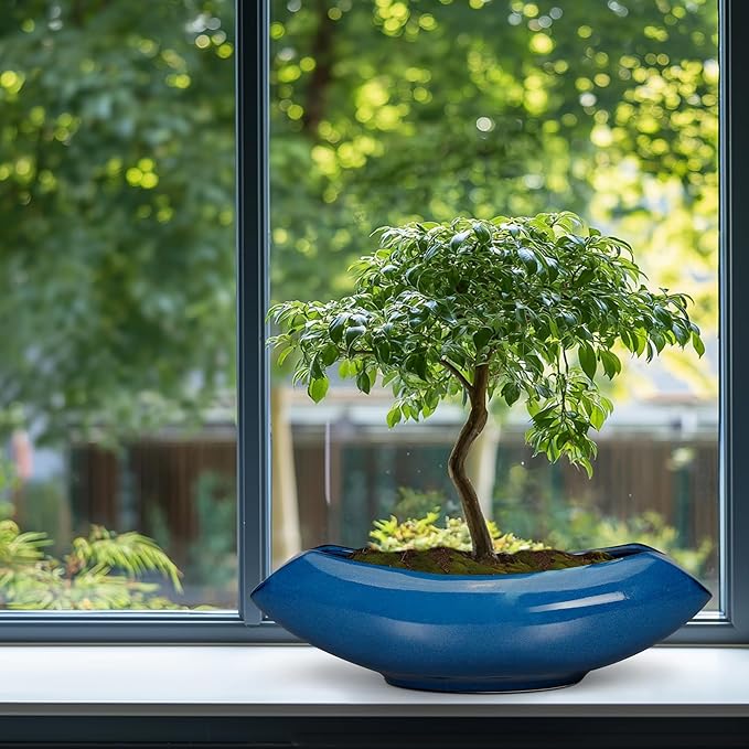 Bonsai Tree Pot 18 Inch - Ceramic Succulent Pots Large Bonsai Planter for Indoor Outdoor Plants Decorative Plant Pot with Drainage Hole Flower Pot for Home Garden Room Decor Blue