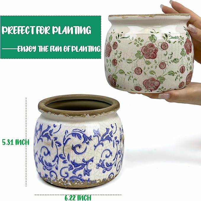 Flower Pot,Vintage Ceramic Pot for Planter with Drainage Holes, 6.29 inch Ice Crack Glazed Indoor Planters Pot for Indoor,Tuscan Home Decor,Gardening Gifts,Blue and White (Tropical)