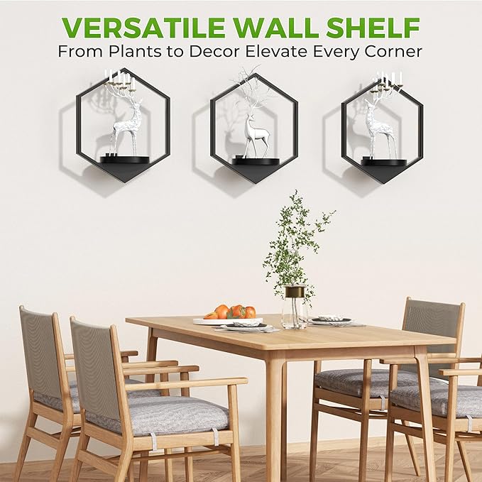 Wall Planters for Indoor Plants, Plant Frames Wall Decor Living Room Plant Stand Hanging Wall Plants Holder to Hold Large Pots Wall Plant Hanger Window Plant Shelves for Outdoor Entryway