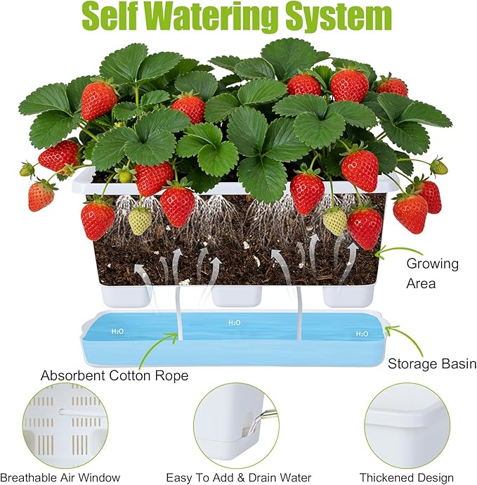 Window Box Planter 6 Packs, 13.8 Inches Rectangle Flower Pots with Drainage Holes & Trays, Pots for Vegetables, Herbs, Flowers, Garden Windowsill Balcony (White)