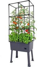 Frame It All Hydroponic Tower with Trellis Frame and Greenhouse Cover, Vertical Garden Planter for Vegetables and Flowers, Self-Watering Garden Tower with 4.35-Gallon Water Storage, 15.75 x 23.5 x 57