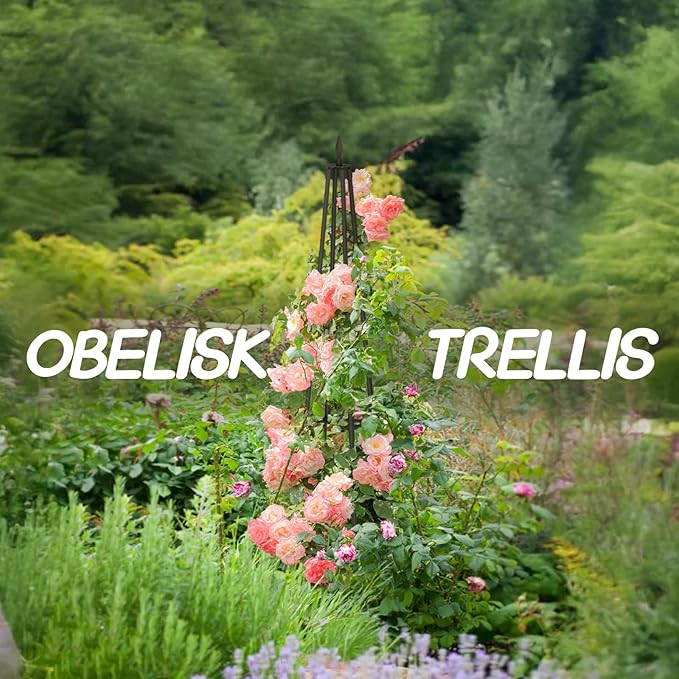 Obelisk Trellis for Climbing Plants Outdoor,5.2 Ft Garden Trellis for Potted Plants, Metal Trellis with Anti-Rust Coated for Potted Plants Indoor, Plant Support for Vegetables, Vines