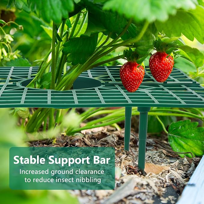 10 Pack Strawberry Plant Support, Strawberry Planting Stand, Keeping Strawberry Plants Clean, Strawberry Growing Racks, Strawberry Growing Frame
