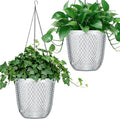 QCQHDU Self Watering Hanging Pots, 2 Pack 5.7 Inch Hanging Planters for Plants Indoor, Outdoor Flower Pots with Drainage Holes and 3 Hooks Chains for Garden Home (Clear)