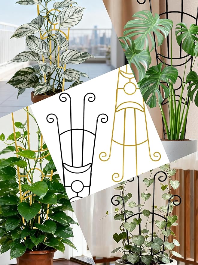 33 Inch Tall Expandable Metal Trellis for Potted Plants, Rustproof Expandable Indoor Outdoor Plant Support Trellis for Climbing Plants, Monstera, Ivy, Hoya with Sturdy Weighted Base (Black)