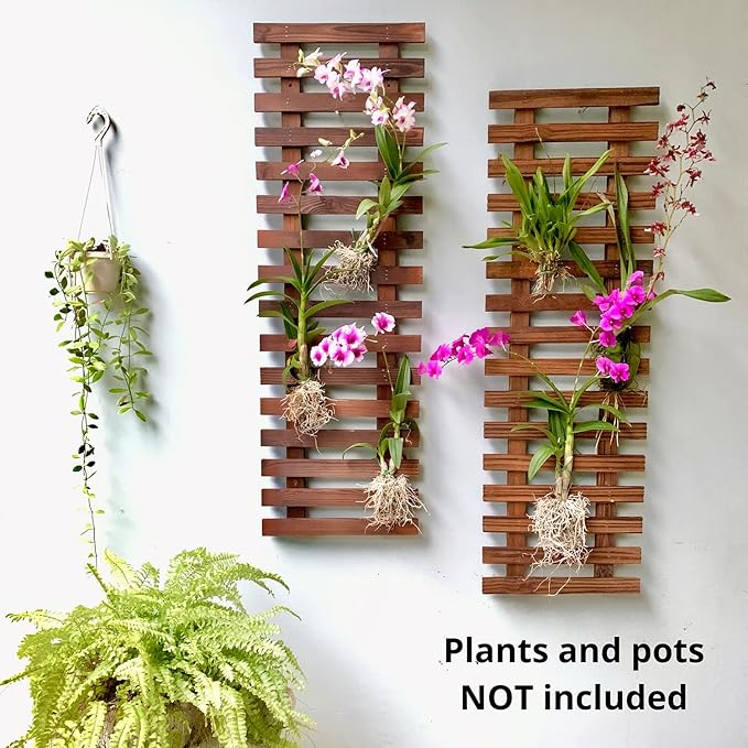 ShopLaLa Wall Planter – Hanging Planter for Indoor Plants, Plant Stand, Air Plant Succulent Holder, Vertical Garden. Large Wall Decor for Living Room, Room Decor for Teens