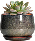 G EPGardening 6 Inch Plant Pot - Ceramic Succulent Pots with Drainage and Ceramic Tray, Round Planter for Indoor Outdoor Plants, Decorative Flower Pots, Home Decor, Gift for Women Men, Speckled Brown