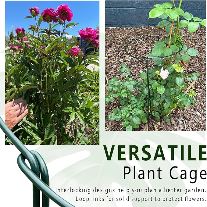 6 Pack Plant Support Stakes, 15.8" Half Round Metal Garden Plant Supports for Indoor Plants, Green Plant Cage Ring for Monstera, Peony, Hydrangea, Potted Plant Holder Sticks (10" Wide)
