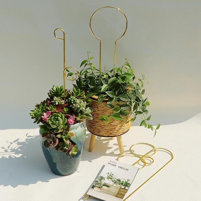 14.17in Plant Trellis Indoor, 4.2mm Dia Gold Small Trellis for Potted Plants, Metal Trellis for Climbing Plants Indoor Support for houseplant Hoya Photos Succulents Hostas, Plant Decor