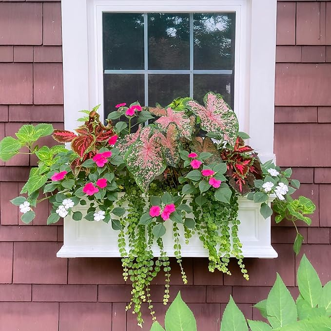 Mayne Fairfield 3-Foot Window Box – Self-Watering, Weather-Resistant Planter for Flowers – Durable Design for Outdoor Use, Perfect for Windows