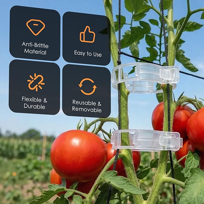 100pcs Tomato Clips for Climbing plants, Plastic Trellis Plant Support Clips for Garden, Reusable Clips for Supporting Grape Tomato Vine and Vegetables Plants to Grow Upright Makes Plants Healthier
