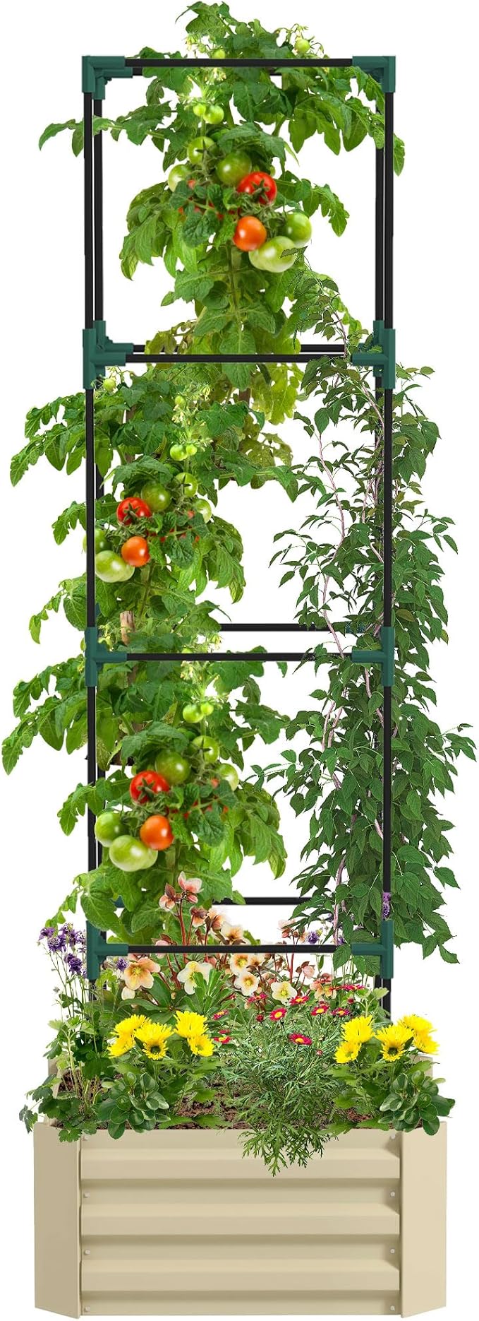 Outsunny Galvanized Raised Garden Bed, 73.5" Tall Outdoor Planter Box with Trellis Tomato Cage and Open Bottom for Climbing Vines, Vegetables, Flowers in Backyard, Garden, Patio, Cream