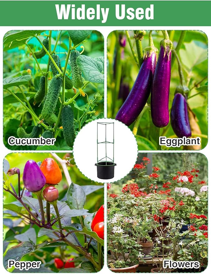 ANPHSIN 3 Sets Tomato Cages with 10 Gallon Grow Bags - 48" Stable Plant Garden Planter, Flowers Vegetable Trellis Pots for Tomato Vertical Climbing Plants Vines