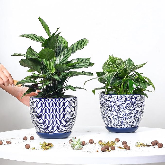 Selamica Ceramica Plant Pots, 6.5 Inch Flower Pots Set of 2 with Drainage Holes & Saucer, Planters for Indoor Plants, Home Decor, Vintage Blue