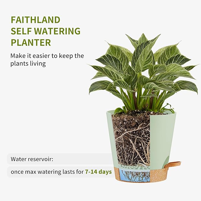 FaithLand 2-Pack 9 Inch Planter Pots for Indoor Outdoor Plants, Self Watering Flower Pots with Deep Reservoir, Green with Terracotta …