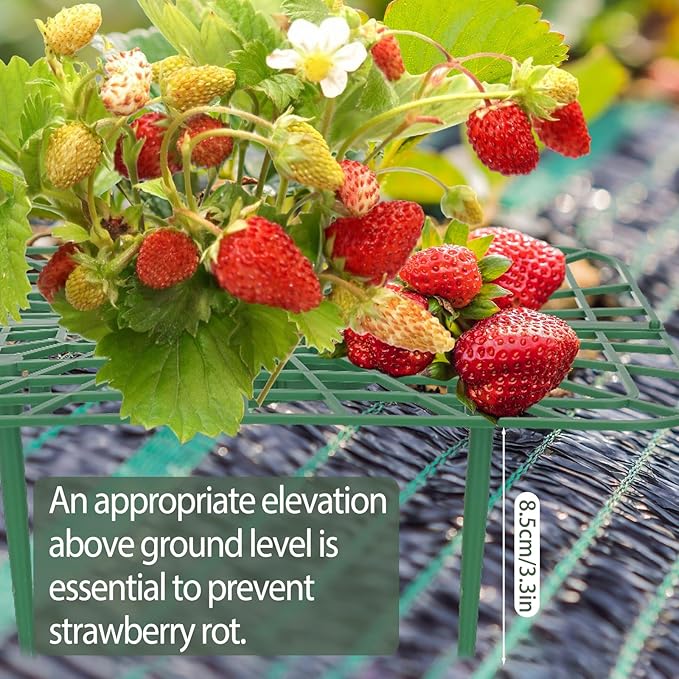 4 Sets Strawberry Plant Support with Mesh Plant Cover,Strawberry Growing Racks Sets with Iron Plant Nails and Storage Bag for Garden Strawberry Vegetables(Green Net - Square)
