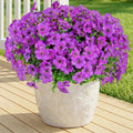Artificial Flowers for Outdoor Indoor,Silk Flowers No Fade Fake Plastic Flowers Faux Plants for Outdoors Outside Front Porch Hanging Planter Window Box Garden Home Decoration,13 Pack(Purple)