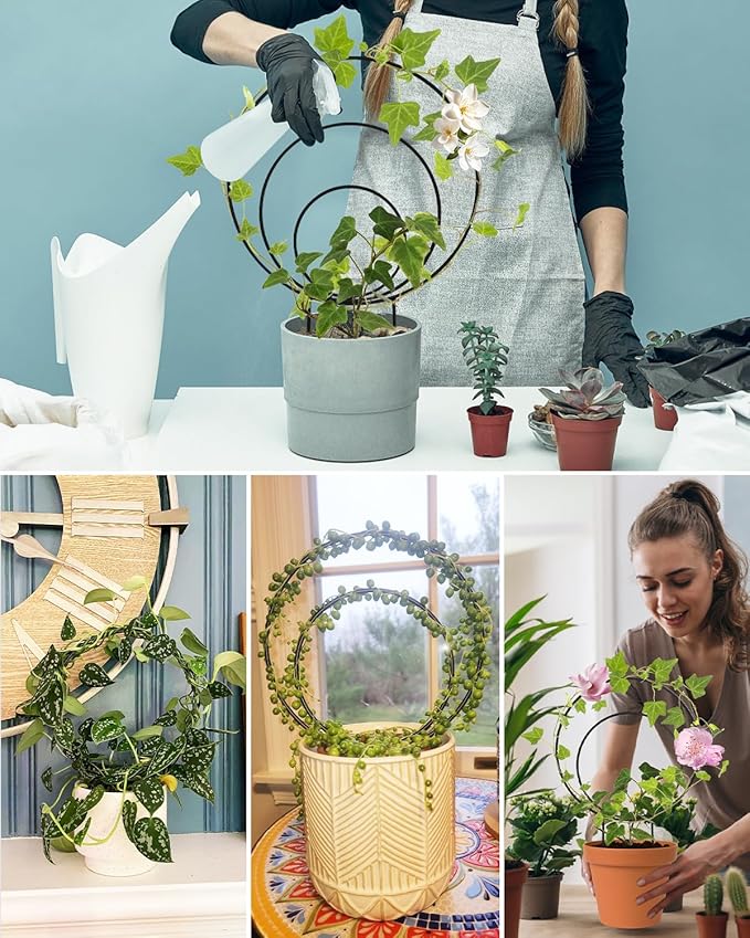 3 Pcs Unique Round Hoya Garden Trellis, Different Small Houseplant Trellis for Climbing Plant Indoor Outdoor, Garden Trellis Plant Support for Potted Ivy and Flowers (Black)