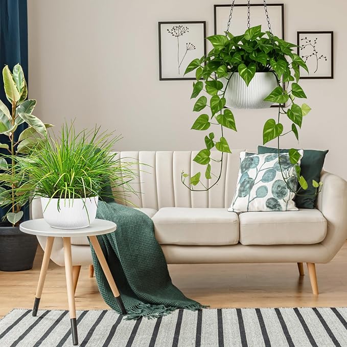 10 Inch Hanging Planters for Outdoor Indoor Plants, Set of 2 Self-Watering Hanging Pots with Drainage Hole & Plug II Screw-in Hooks II Non-deforming