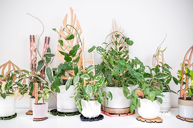 Treleaf Zella Regular Extension Kit - Wooden Extendable Plant Trellis for Indoor Climbing Houseplants - Modular Plant Support