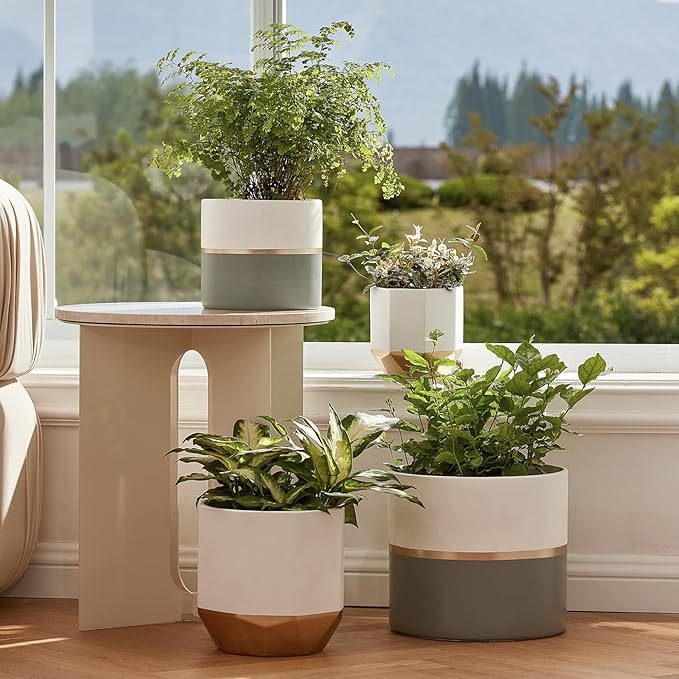 LA Jolie Muse White Ceramic Flower Pot Garden Planters 6.7 Inch Pack 2 Indoor Plant Containers with Gold and Grey Detailing