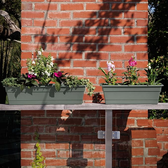 Bloem Dura Cotta 18" Basil Resin Rectangle Window Box Planter with Saucer Tray for Indoor and Outdoor Gardening