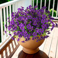 INQCMY Artificial Fake Petunias Flowers for Outdoors Spring Decoration, 12 Bundles Faux Flower Plants UV Resistant Purple Realistic Silk Flower for Outside Planters Patio Porch Yard Window Box