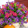 Artificial Flowers for Outdoor, UV Resistant Fake Silk Flowers, Realistic Faux Plants for Outside Indoor Porch Patio Window Box Planter Home Decor (20, Purple Rosy)