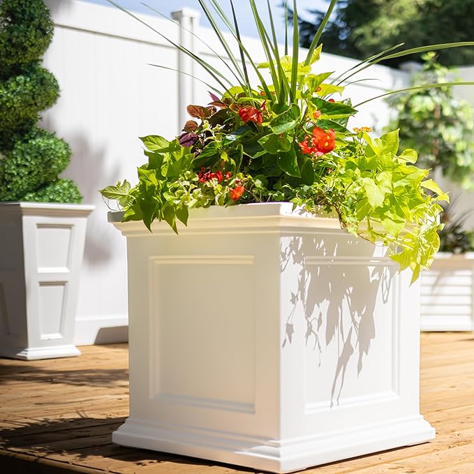 Mayne Fairfield 24-Inch Self Watering Square Planter Box, Weather-Resistant and Durable, Ideal for Indoor and Outdoor Use, Perfect for Patio, Porch, or Entryway
