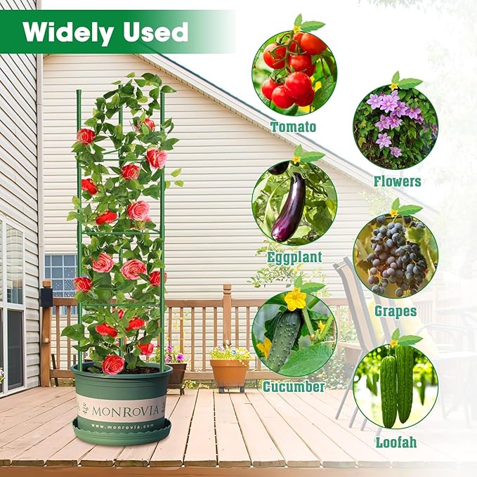 3 Pack Tomato Cages, 51.2in Tomato Plant Support Stakes Heavy-Duty, Garden Tomato Cages & Trellis for Climbing Vegetables, Tomatoes, Peppers, and Potted Plants(3)