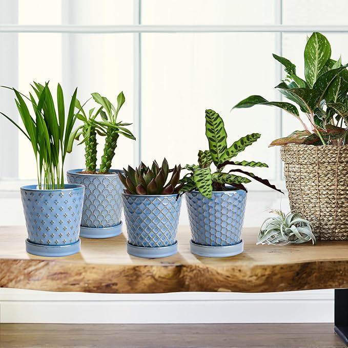 EFISPSS Plant Pots,5 Inch Pots for Indoor Plants,Planters with Drainage Hole and Saucer, Ceramic Flower Pots Desktop Office Windowsill Decoration Gift Set of 4 - Sky Blue
