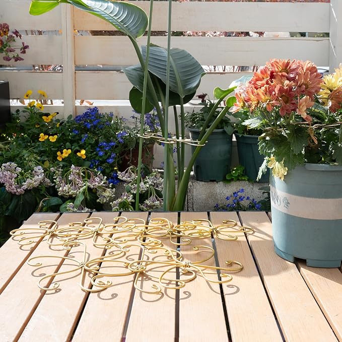 6.5IN Monstera Plant Support Hook 5PCS Durable Stem Stabilizer for Indoor Plants | Easy Setup 5-Piece Set Ideal for Turtle Shell Leaf Support Ideal Present for Plant Lovers & Home Garden Décor