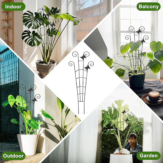 COOMIN 30'' Monstera Plant Support Outdoor, Metal Expandable Plant Supports for Indoor Plants, 4P Garden Trellis for Climbing Plants Indoor - Ivy, Pothos, Philodendron, Hoya