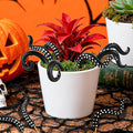 Garden Stakes Decorative - Octopus Plant Stakes Decorations for Pots, Funny Tentacles Plant Accessories, Suitable for Decorating Balconies, Gardens, and Flower Pots (7PCS)
