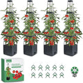 MQFORU Tomato Planter Boxes with Trellis Outdoor, 57" Self Watering Raised Garden Bed, Tall Square Planters for Indoor Plants, Large Tomato Cage for Patio, Use for Indoor Outdoor (4)