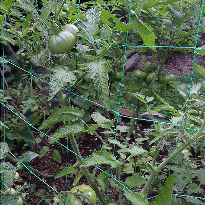 Trellis Netting for Climbing Plants - Heavy Duty Garden Trellis Netting for Cucumber, Vine, Fruits & Vegetables Tomato Plants Trellis Net, Climbing Vining Plants (2-Pack 24.6' x 6.6'Ft)