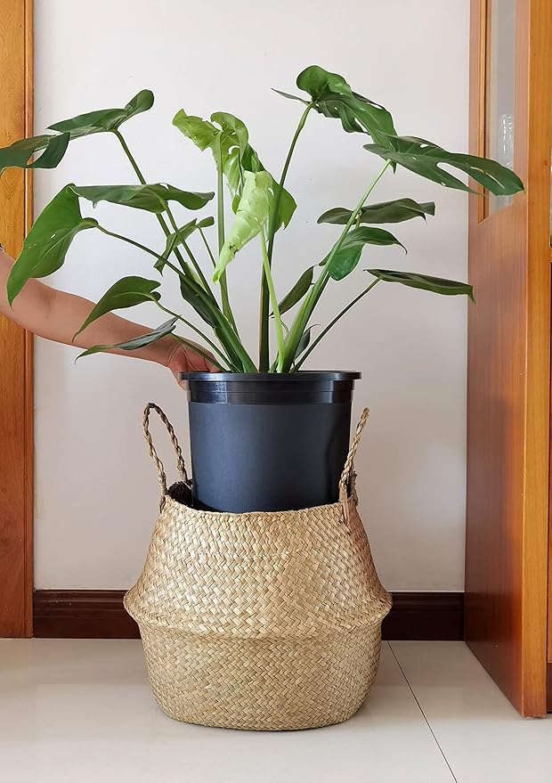 5 Gallon 20-Pack Nursery Pot Black Plastic Planters in Bulk with Drainage for Outdoor Indoor Large Plants Trees
