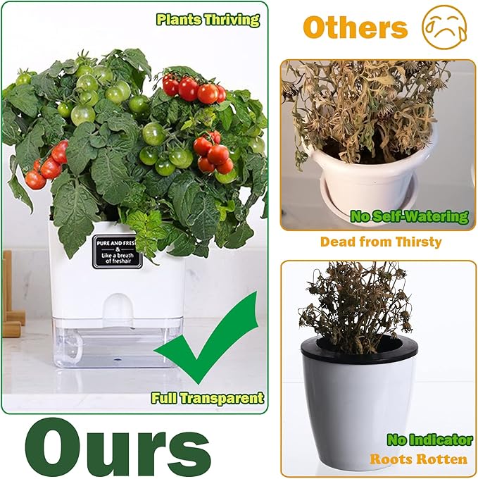 Planterhoma 6 Pack-5.5 Inch Self Watering Plant Pots for Indoor Plants, Square Self-Watering Planters Box Transparent for Devil's Ivy, Spider Plant, Orchid, African Violet