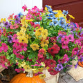 Artificial Flowers for Outdoor, UV Resistant Fake Silk Flowers, Realistic Faux Plants for Outside Indoor Porch Patio Window Box Planter Home Decor (20, Yellow Purple Rosy Red Blue)
