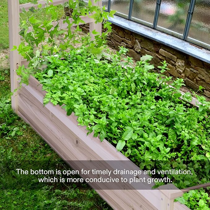 VIVOSUN Wooden Raised Garden Bed, 48 x 24 x 30 Inches, Outdoor Wood Planter Box with Gloves and a Liner, with Trellis for Vine Climbing for Garden, Patio, Balcony, Backyard and Outdoors (Pack of 2)