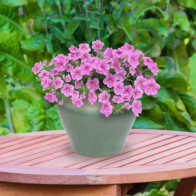 Sunnydaze Large Ceramic Plant Pot - Round Outdoor Glazed Ceramic Planter Pot with Drainage - Studio - Gray - 18.5"