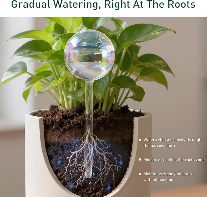 Large Extra-Thick Clear Glass Plant Watering Globes, Rainbow Gradient Self Watering Devices for Indoor & Outdoor Plants, AutomaticWaterer Spikes, Perfect for Daily or Vacation Use, 6-Pack