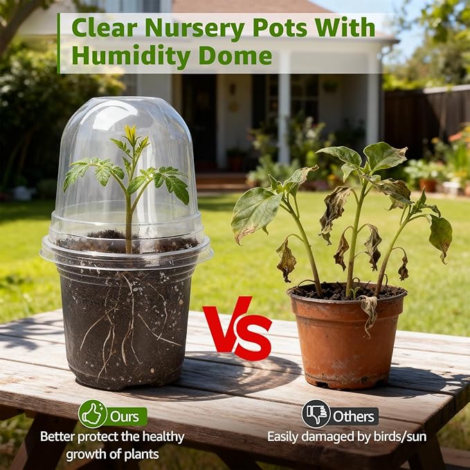 MIXC Clear Nursery Pots with Humidity Domes, 5/4/3.5 Inch Reinforced Transparent Plastic Pots for Planting with Drainage Holes, for Tomato Seedlings, Cactus, and Herbs, 30 Pack