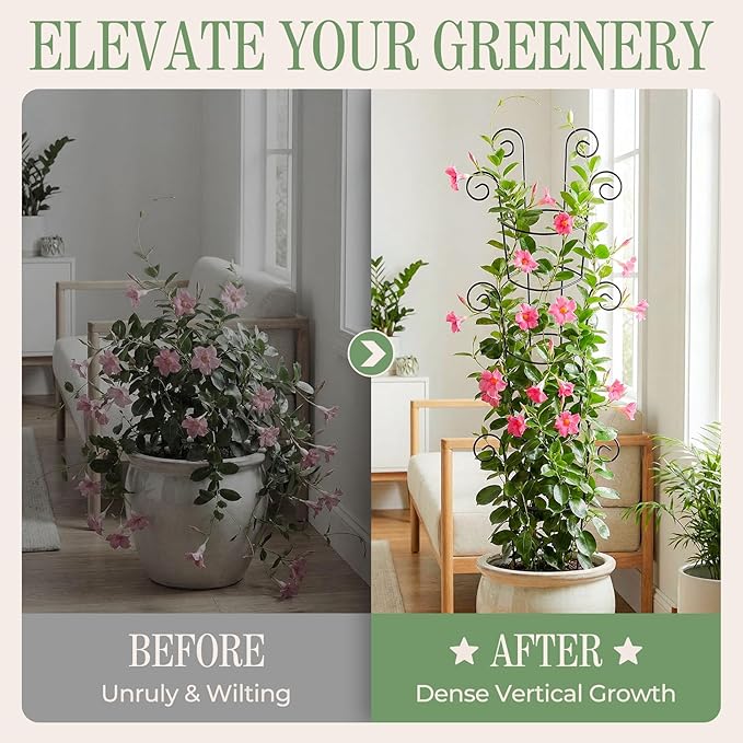 4 Pack 43 Inch Metal Plant Trellis for Climbing Plants - Rustproof Garden Trellis for Large Potted Houseplants, Sturdy Plant Support Indoor Outdoor for Monstera & Vines, Home Decor