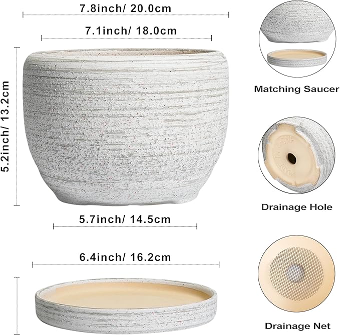 SQOWL Ceramic Plant Pots - 8 inch Planter for Indoor Plants, Round Flower Pot with Drainage Hole and Plant Saucer, Modern Decorative Ceramic Planter Outdoor, Home Room Decor, Garden Gifts, Gray