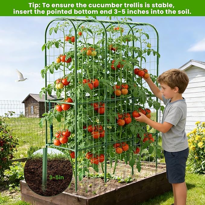 2 Pack 65in Tall Cucumber Trellis for Raised Bed, 50" L x 65" H Metal Garden Trellis for Climbing Plants Outdoor, U-Shape Vegetables Trellis Support for Squash Zucchini